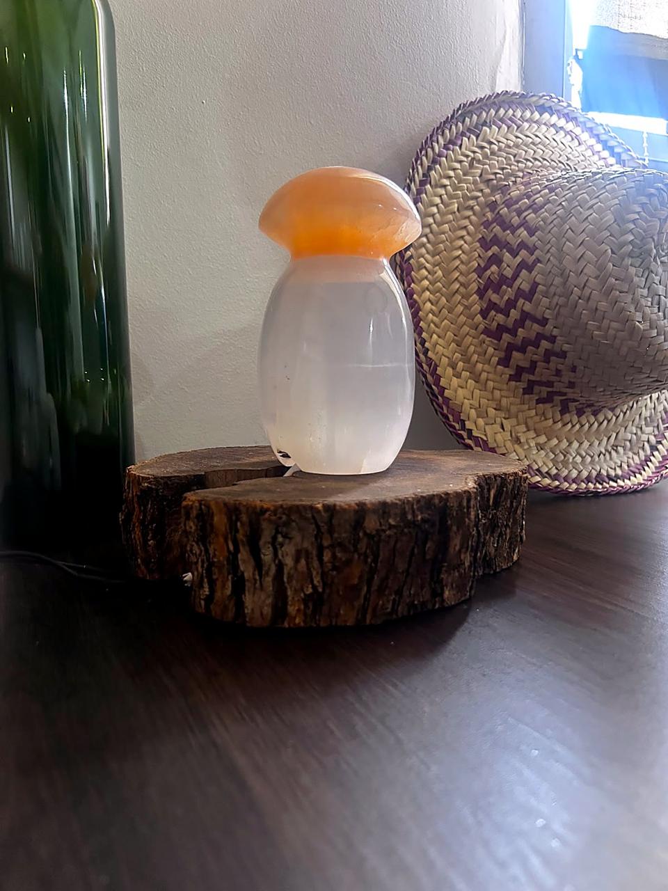 Détail chapeau champignon sélénite blanche translucide — forme organique unique, chakra couronne, artisanat marocain fait main | Pure Selenite